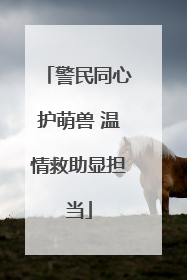 警民同心护萌兽 温情救助显担当