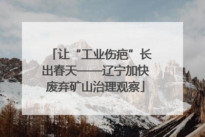 让“工业伤疤”长出春天——辽宁加快废弃矿山治理观察