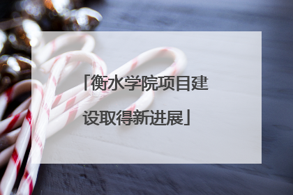 衡水学院项目建设取得新进展