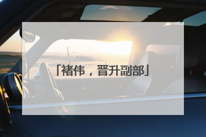 褚伟，晋升副部