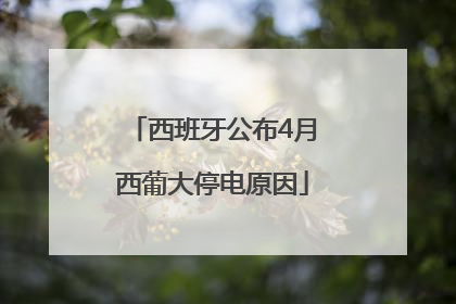 西班牙公布4月西葡大停电原因