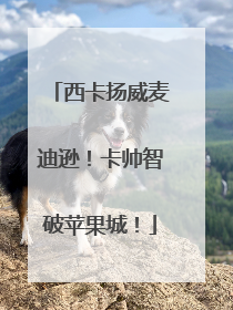 西卡扬威麦迪逊！卡帅智破苹果城！