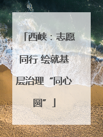 西峡：志愿同行 绘就基层治理“同心圆”
