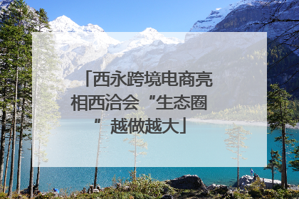 西永跨境电商亮相西洽会“生态圈”越做越大