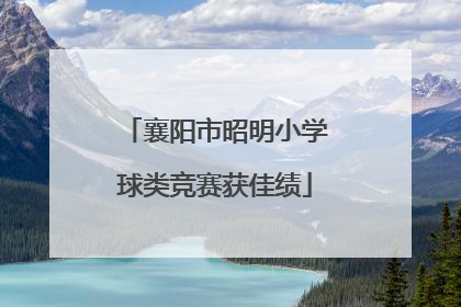 襄阳市昭明小学球类竞赛获佳绩