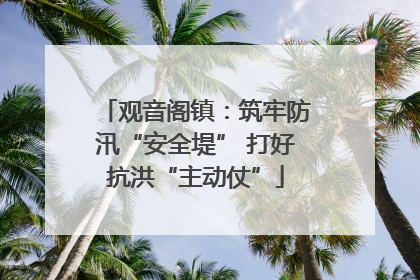 观音阁镇：筑牢防汛“安全堤” 打好抗洪“主动仗”