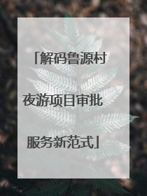 解码鲁源村夜游项目审批服务新范式