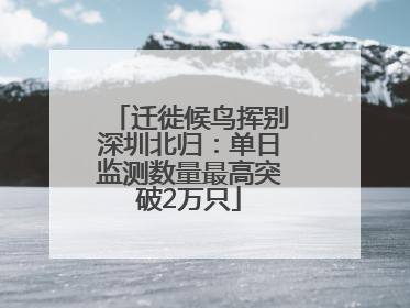 迁徙候鸟挥别深圳北归：单日监测数量最高突破2万只