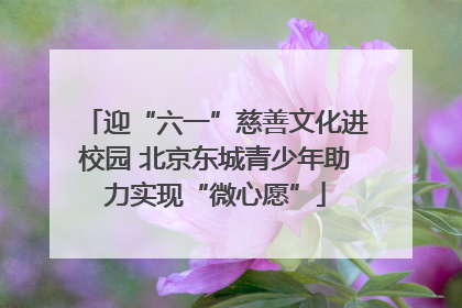 迎“六一”慈善文化进校园 北京东城青少年助力实现“微心愿”