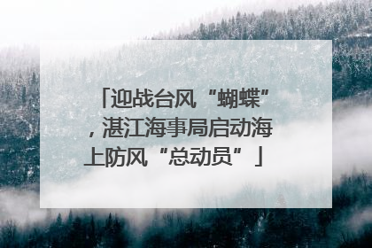 迎战台风“蝴蝶”，湛江海事局启动海上防风“总动员”