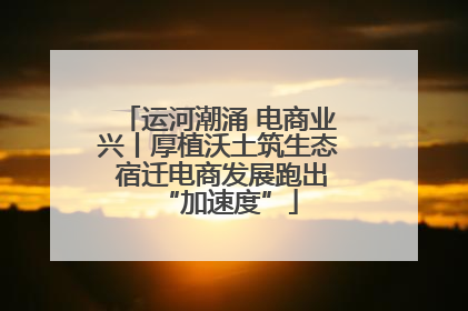 运河潮涌 电商业兴丨厚植沃土筑生态 宿迁电商发展跑出“加速度”