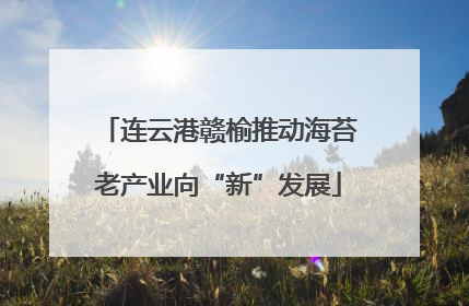 连云港赣榆推动海苔老产业向“新”发展