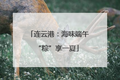 连云港：海味端午 “粽”享一夏