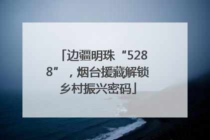 边疆明珠“5288”，烟台援藏解锁乡村振兴密码
