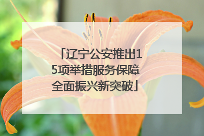 辽宁公安推出15项举措服务保障全面振兴新突破