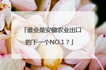 谁会是安徽农业出口的下一个NO.1？