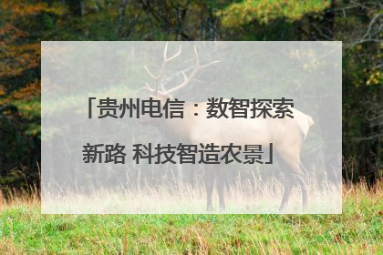 贵州电信：数智探索新路 科技智造农景