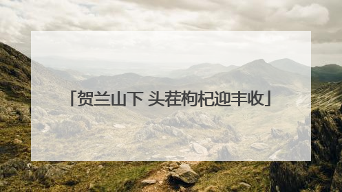 贺兰山下 头茬枸杞迎丰收