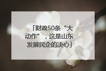 财政50条“大动作”，这是山东发展民企的决心