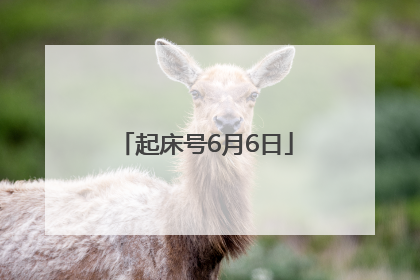 起床号6月6日
