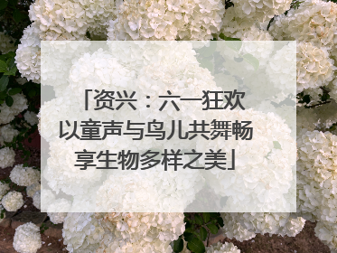 资兴：六一狂欢 以童声与鸟儿共舞畅享生物多样之美