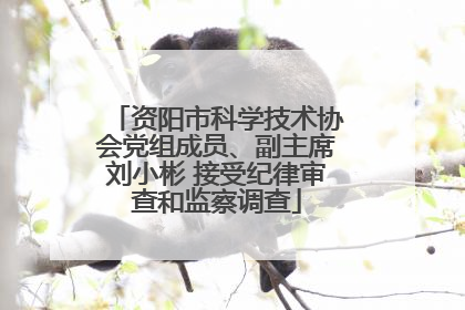 资阳市科学技术协会党组成员、副主席刘小彬 接受纪律审查和监察调查