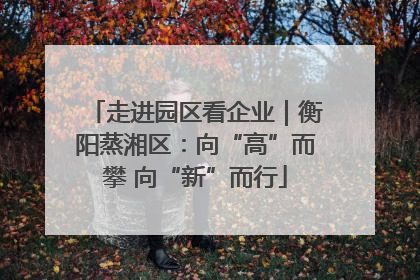 走进园区看企业｜衡阳蒸湘区：向“高”而攀 向“新”而行