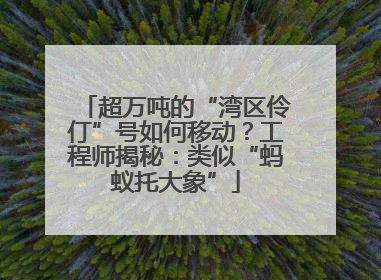 超万吨的“湾区伶仃”号如何移动？工程师揭秘：类似“蚂蚁托大象”