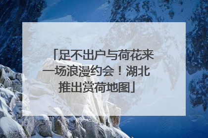 足不出户与荷花来一场浪漫约会！湖北推出赏荷地图