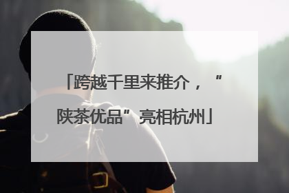 跨越千里来推介，“陕茶优品”亮相杭州