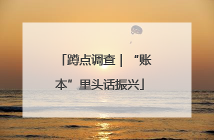 蹲点调查｜“账本”里头话振兴