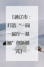通辽市：打造“一园一展厅一基地”创新模式