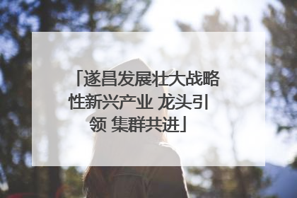 遂昌发展壮大战略性新兴产业 龙头引领 集群共进