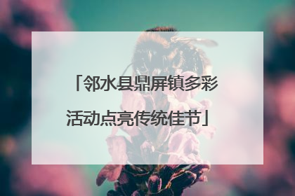 邻水县鼎屏镇多彩活动点亮传统佳节