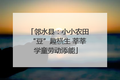邻水县：小小农田“豆”趣横生 莘莘学童劳动添能