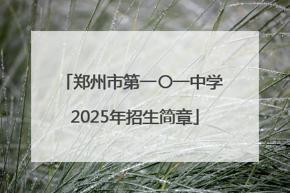 郑州市第一〇一中学2025年招生简章