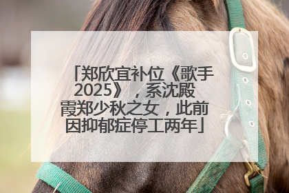 郑欣宜补位《歌手2025》，系沈殿霞郑少秋之女，此前因抑郁症停工两年