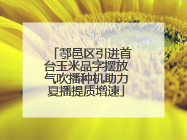 鄠邑区引进首台玉米品字摆放气吹播种机助力夏播提质增速
