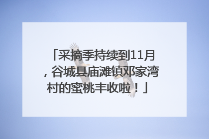 采摘季持续到11月，谷城县庙滩镇邓家湾村的蜜桃丰收啦！
