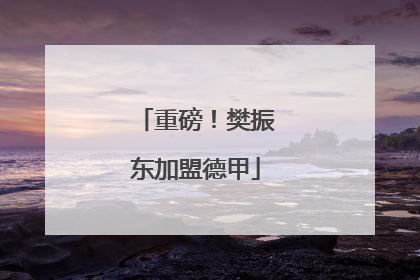 重磅！樊振东加盟德甲