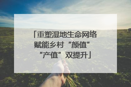 重塑湿地生命网络 赋能乡村“颜值”“产值”双提升