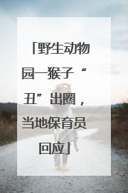 野生动物园一猴子“丑”出圈，当地保育员回应