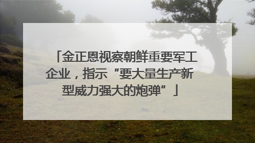 金正恩视察朝鲜重要军工企业，指示“要大量生产新型威力强大的炮弹”