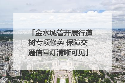 金水城管开展行道树专项修剪 保障交通信号灯清晰可见