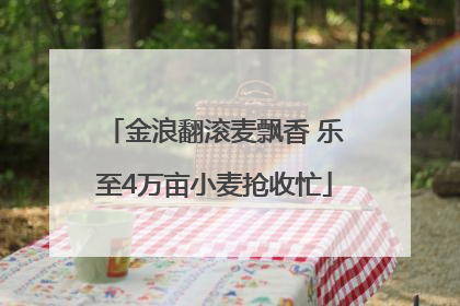 金浪翻滚麦飘香 乐至4万亩小麦抢收忙