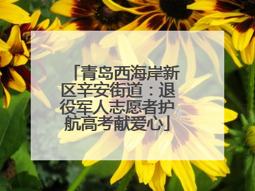 青岛西海岸新区辛安街道：退役军人志愿者护航高考献爱心