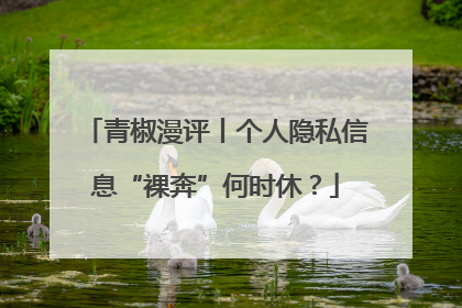 青椒漫评丨个人隐私信息“裸奔”何时休？