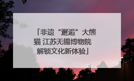 非遗“邂逅”大熊猫 江苏无锡博物院解锁文化新体验
