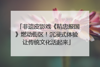 非遗皮影戏《精忠报国》燃动街区！沉浸式体验让传统文化活起来