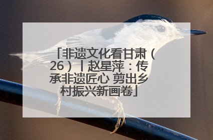 非遗文化看甘肃（26）丨赵星萍：传承非遗匠心 剪出乡村振兴新画卷